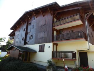 Résidence Ecrin Des Glaciers Daim - ECRIN DES GLACIERS D43 MAE-7511 - Combloux - 2