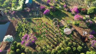 Flower Garden Homestay - Plei Kơtêng - 7