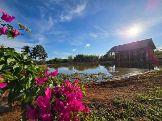Flower Garden Homestay - Plei Kơtêng - 4