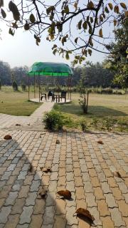 Nature Homestay - Varanasi - 8