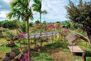 Flower Garden Homestay - Plei Kơtêng - 3