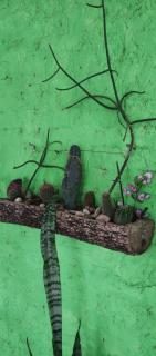 Los Cocos - Tafí Viejo - 2