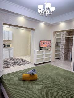 Уютная квартира рядом с Rixos - Almaty - 1