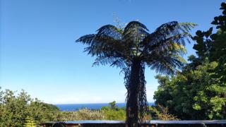Whole house rental inn Horizon line - Vacation STAY 18087v - Yakushima - 1