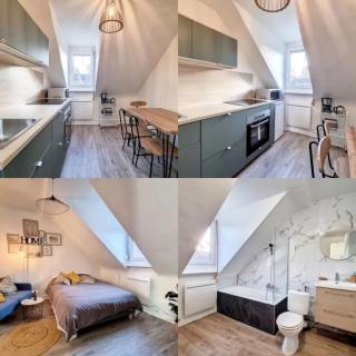 SOH Rent Strasbourg saint Florent proche Gare - Estrasburgo - 6