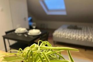 Soh Rent Strasbourg Chambre 4 Tv-Wifi Proche Gare - Strasbourg - 4