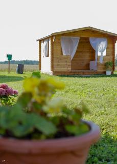 Kalnrozes pirts - - 6