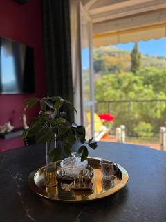 VIP Apartment with swimming pool - Rapallo - 5