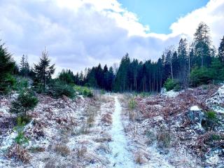 Guest house in the countryside - 6