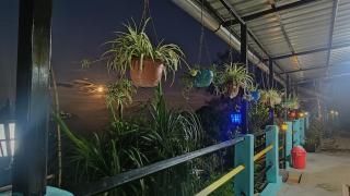 Goo Zimba Homestay - Darjeeling - 1