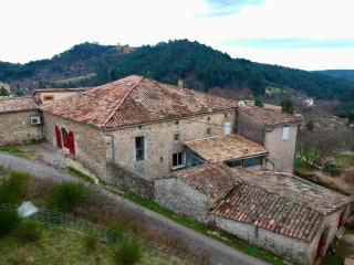 Mas de la Borie -Chambre d'hôtes - Joannas - 9