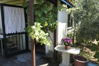 Etna Evergreen Casa Vacanze - Piedimonte Etneo - 4