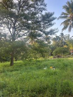 202 Stays - Morogoro - 4