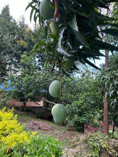 202 Stays - Morogoro - 3