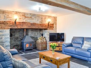 Pistyll Gwyn - Llanwrthwl - 8