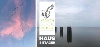 Historisches Bauernhaus für 8 Personen mit Luxus und Natur auf 2 Etagen ideal für Familien und Hunde 2500m2 eingezäunt an der Ostsee - Niepars - 9