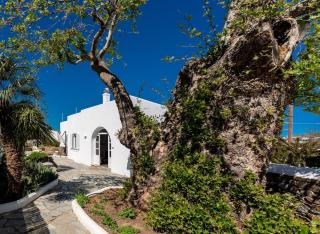 Plane Tree Villa in Parikia - Kampos Paros - 6