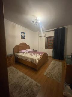 Villa 100 shiekh zayed full house - 4