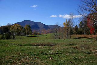 Luxury Mountain Cabin Rental on Rockfish Gap River near Charlottesville, Virginia - Nellysford - 5