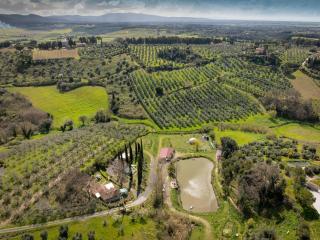 Valle Incantata - Farm and Lab - Casale Marittimo - 4