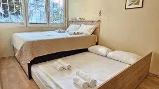 Cicki Apartments I - Renovated 2025 - Podgorica - 3