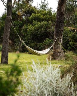 Dune Shack - On The Beach, 10 minutes from Port Arthur - White Beach - 3