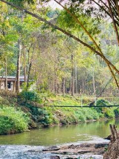 Icon Riverside Resort - Kalpetta - 6
