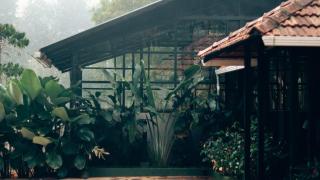 Icon Riverside Resort - Kalpetta - 4