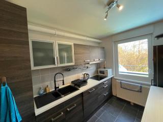 Flat near Strasbourg - Offendorf - 2