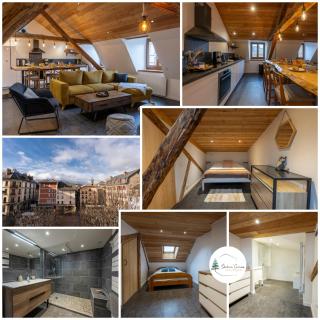 Pépite Alpine - Centre ville - WIFI - Barcelonnette - 9
