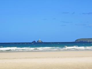 Elm - 31304 - Porthtowan - 3