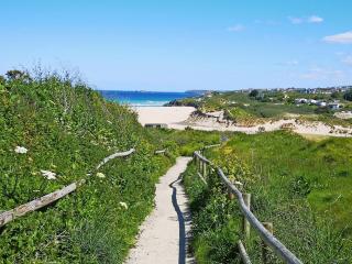 Elm - 31304 - Porthtowan - 2