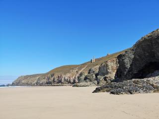 Elm - 31304 - Porthtowan - 1