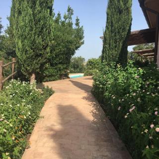 Tenuta Saracone - Montalto di Castro - 9