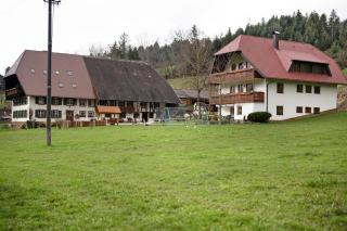 Schlegelhansenhof - Buchenbach - 9