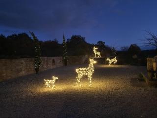 Cozy guest house with jacuzzi and swimming pool - 7