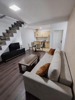Villa Jelena - Banja Koviljača - 0