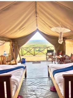 Queen comfort - Sekenani - 6