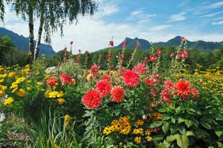 Ferienwohnungen Bergluft Chiemgau - Aschau im Chiemgau - 8