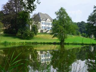 Luxurious castle in Marchin with infrared sauna - Tharoul - 9