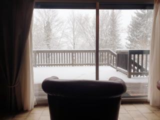 Chalet de Charme 100m² - Grand jardin - Gite les 4 saisons- Lac de chalain - Marigny - 6