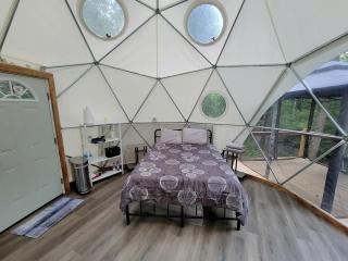Pet-Friendly Glamping Dome Rental for Relaxing Escapes near Boone, NC - Purlear - 8