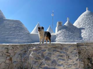 Trulli LENUCCIA villa - Ceglie Messapica - 3