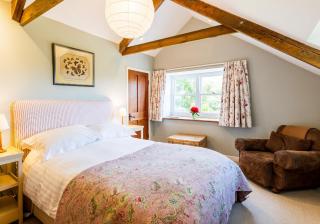 Nant y Rhedyn Newport - Newport - 3