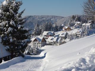 Ferienwohnung Bergahorn - Todtnauberg - 1