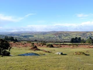 Primrose Lodge - Uk13447 - Halwill - 7