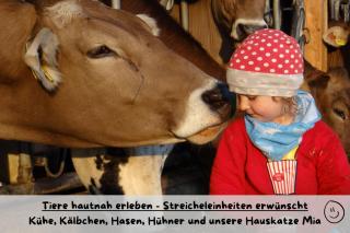 Ferienhof Herz - Rettenberg - 6