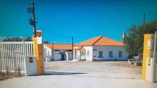 Casa de Campo das Oliveiras - Idanha-a-Nova - 9