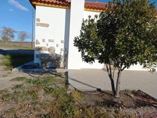 Casa de Campo das Oliveiras - Idanha-a-Nova - 7