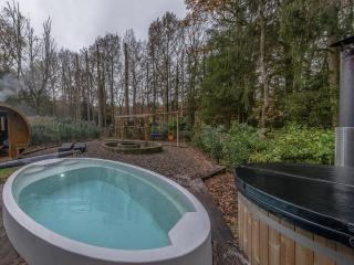Premium chalet in Erezée with private sauna - Érezée - 6